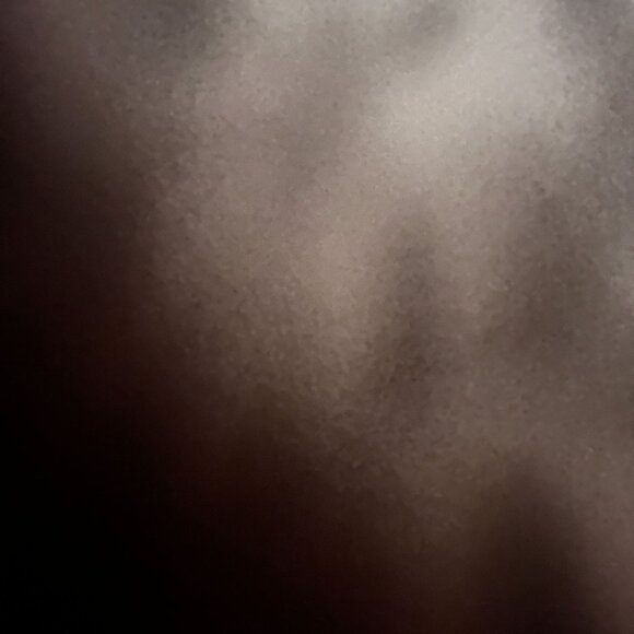 Cabi Womens Brown Wide Leg Lauren Trouser Pants Size 8 Regular Stretch #661 New - Picture 9 of 12